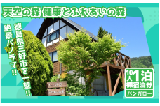 健康とふれあいの森 宿泊券 バンガロー 10棟 コテージ キャンプ 秘境 観光 絶景 にし阿波花火 自然 夏休み 徳島 子供 家族連れ みよし miyoshi 三好 天空の森 健康 ふれあいの森