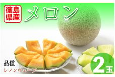 メロン 赤肉 徳島県産 高地栽培 レノンウェーブ 2玉 赤肉メロン フルーツ 果物 旬 季節 厳選 高級 人気 デザート ギフト プレゼント 贈り物 贈答 送料無料 徳島県 三好市 みよし miyoshi 三好野呂内野菜生産加工組合