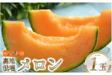 メロン 赤肉 徳島県産 高地栽培 ナポリ 1玉 赤肉メロン フルーツ 果物 旬 季節 厳選 高級 人気 デザート ギフト プレゼント 贈り物 贈答 送料無料 徳島県 三好市 みよし miyoshi 三好野呂内野菜生産加工組合