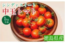 トマト 1kg 高地栽培 徳島県産 中玉トマト シンディスイート 高糖度 新鮮 旬 季節 贈り物 ギフト 贈答 プレゼント 野菜 おかず サラダ ジュース 徳島県 三好市 みよし miyoshi 三好野呂内野菜生産加工組合