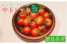 トマト 2kg ( 200g×10袋 ) 高地栽培 徳島県産 中玉トマト シンディスイート 高糖度 新鮮 旬 季節 贈り物 ギフト 贈答 プレゼント 野菜 おかず サラダ ジュース 徳島県 三好市 みよし miyoshi 三好野呂内野菜生産加工組合
