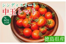 トマト 2kg ( 200g×10袋 ) 高地栽培 徳島県産 中玉トマト シンディスイート 高糖度 新鮮 旬 季節 贈り物 ギフト 贈答 プレゼント 野菜 おかず サラダ ジュース 徳島県 三好市 みよし miyoshi 三好野呂内野菜生産加工組合