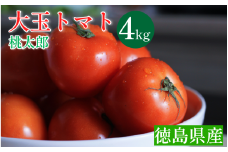 トマト 4kg 高地栽培 徳島県産 大玉トマト 桃太郎 高糖度 新鮮 旬 季節 贈り物 ギフト 贈答 プレゼント 野菜 おかず サラダ ジュース 徳島県 三好市 みよし miyoshi 三好野呂内野菜生産加工組合