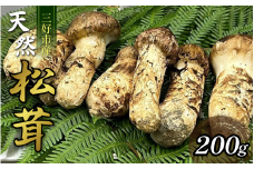 松茸 三好市産 200g 2～5本 秋の味覚 まつたけ マツタケ きのこ キノコ 旬の野菜 先行予約 人気 オススメ お取り寄せ グルメ 目利き 特選  林青果 秘境 みよし 三好市 徳島県