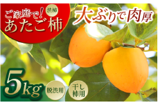 三好市産 あたご柿 5kg 15玉 ～ 20玉 渋柿 柿 愛宕柿 秋の味覚 甘い 肉厚 旬 果実 干し柿 脱渋 ご家庭で 人気 オススメ お取り寄せ 手仕事 目利き 特選 林青果 秘境 みよし 三好市 徳島県