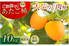あたご柿 三好市産 10kg 30玉 ～ 40玉 渋柿 愛宕柿 秋の味覚 甘い 肉厚 旬 果実 干し柿 脱渋 ご家庭で 人気 オススメ お取り寄せ 手仕事 目利き 特選 林青果 秘境 みよし 三好市 徳島県