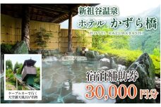 ホテル 宿泊券 30,000円分 新祖谷温泉 ホテルかずら橋 宿泊補助券 徳島県 三好市 みよし 温泉 祖谷温泉 ケーブルカー 温泉旅館 宿泊チケット 露天風呂 かずら橋 観光 絶景 温泉旅行 宿泊ギフト 人気 温泉宿 旅行券 観光スポット クーポン 旅行 温泉地 おすすめ