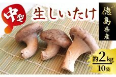 きのこ しいたけ 2kg 程度 中型 10袋 キノコ 椎茸 ステーキ 生しいたけ 生 シイタケ だし ダシ 焼きしいたけ 肉詰め 鍋 味噌汁 スープ 野菜 新鮮 旬 食べ応え 厚い 肉厚 うまみ セット 菌床しいたけ 大西農園 徳島県 三好市