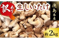 訳あり しいたけ 2kg 程度 きのこ キノコ 椎茸 ステーキ 生しいたけ 生 シイタケ サイズ不揃い だし ダシ 焼きしいたけ 肉詰め 鍋 味噌汁 スープ 野菜 新鮮 旬 食べ応え 厚い 肉厚 うまみ セット 菌床しいたけ 大西農園 徳島県 三好市