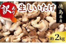 訳あり しいたけ 2kg 程度 きのこ キノコ 椎茸 ステーキ 生しいたけ 生 シイタケ サイズ不揃い だし ダシ 焼きしいたけ 肉詰め 鍋 味噌汁 スープ 野菜 新鮮 旬 食べ応え 厚い 肉厚 うまみ セット 菌床しいたけ 大西農園 徳島県 三好市 みよし