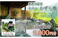 ホテル 宿泊券 9,000円分 新祖谷温泉 ホテルかずら橋 宿泊補助券 徳島県 三好市 みよし 温泉 祖谷温泉 ケーブルカー 温泉旅館 宿泊チケット 露天風呂 かずら橋 観光 絶景 温泉旅行 宿泊ギフト 人気 温泉宿 旅行券 観光スポット クーポン 旅行 温泉地 おすすめ