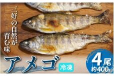 川魚 あめご 4尾 400g 前後 天魚 アマゴ 魚 魚介 塩焼き 唐揚げ アウトドア バーベキュー BBQ キャンプ 国産 酒 ビール おつまみ 弁当 惣菜 おかず 冷凍 徳島県 三好市 みよし miyoshi
