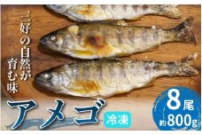 川魚 あめご 8尾 800g 前後 天魚 アマゴ 魚 魚介 塩焼き 唐揚げ アウトドア バーベキュー BBQ キャンプ 国産 酒 ビール おつまみ 弁当 惣菜 おかず 冷凍 徳島県 三好市 みよし miyoshi