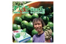 内谷農園 低温貯蔵すだち 家庭用 2kg