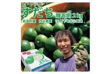 内谷農園 低温貯蔵すだち 贈答用 2kg