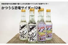 かつうら恐竜サイダー 12本