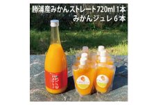 勝浦産みかんストレート 720ml＋みかんジュレセット