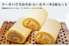 ロールケーキ3本セット（みかん×2・チョコ×1）