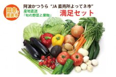 阿波かつうら 農産物満足セット