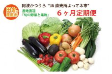 【定期便6回】阿波かつうら 農産物詰合わせ