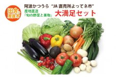 阿波かつうら 農産物大満足セット