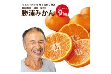 長田農園 早生みかん 秀品 LLサイズ 9kg