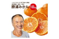 長田農園 早生みかん 秀品 S-Lサイズ 10kg
