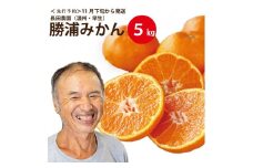 長田農園 早生みかん 秀品 S-Lサイズ 5kg