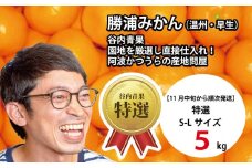 谷内青果 特選 早生みかん 秀品 S-Lサイズ 5kg