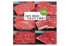 美渓牛 焼肉 おまかせ2種 600g