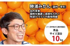 谷内青果 早生みかん 秀品 サイズ混合 10kg