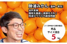 谷内青果 早生みかん 秀品 サイズ混合 5kg