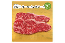 美渓牛 サーロインステーキ 2枚