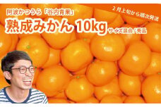 谷内青果 熟成みかん 秀品 サイズ混合 10kg