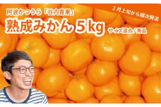 谷内青果 熟成みかん 秀品 サイズ混合 5kg