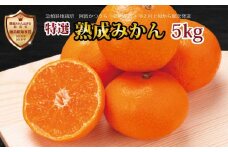 金星園 特選 熟成みかん 秀品 S-LLサイズ 5kg