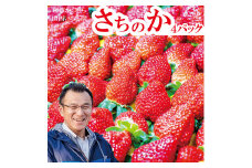 山西いちご園 さちのか 4P