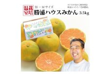 花岡農園 勝浦ハウスみかん SS-Mサイズ 3.5kg（個包装8パック入）