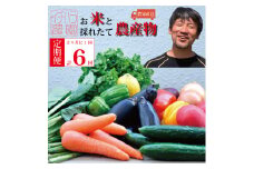 【定期便6回/2か月毎】市原農園 お米と農産物