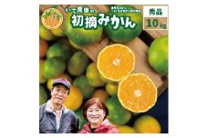 井出農園 極早生 初摘みかん 秀品 S-L混合 10kg