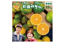 井出農園 訳あり 極早生 初摘みかん 家庭用 S-L混合 10kg