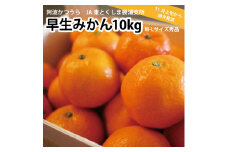 JA東とくしま 勝浦早生みかん 10kg M-Lサイズ 秀品