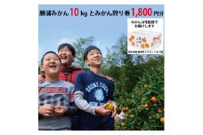 パイロット松下園 勝浦みかん 10kg＋みかん狩り券 1800円分