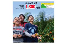 パイロット松下園 みかん狩り券 1800円分