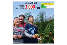 パイロット松下園 みかん狩り券 3000円分
