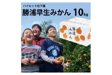 パイロット松下園 勝浦早生みかん 10kg