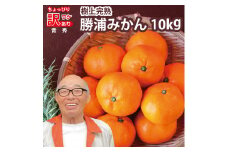 上村農園 訳あり 完熟早生みかん 青秀 S-LLサイズ 10kg