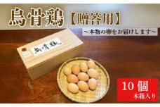 烏骨鶏 鶏卵 10個