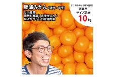谷内青果 早生みかん 家庭用 サイズ混合 10kg