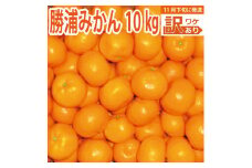 谷内青果 早生みかん 訳あり 10kg